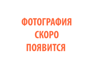 Фото 98 - Горелка TECH MS 36.